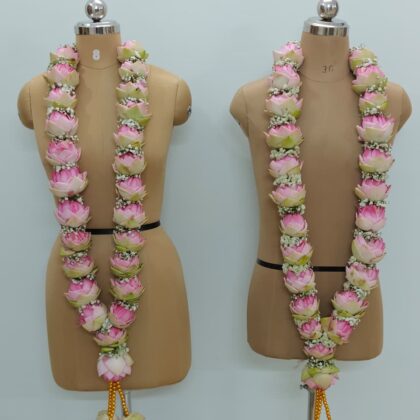 Lotus & baby's Breath