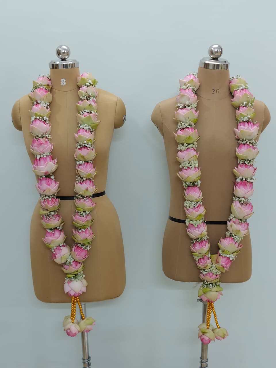 Lotus & baby's Breath